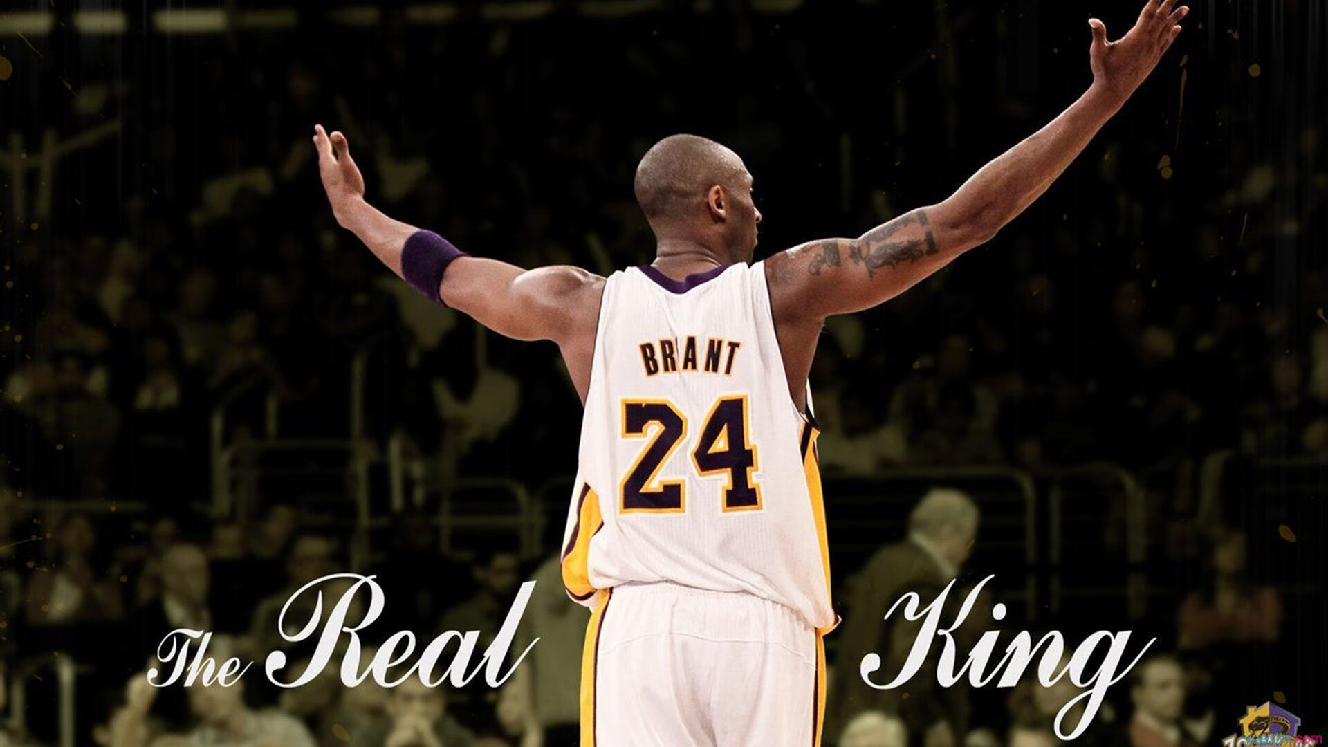 新兴强队崛起,谁能威胁澳大利亚男队?,澳大利亚新星