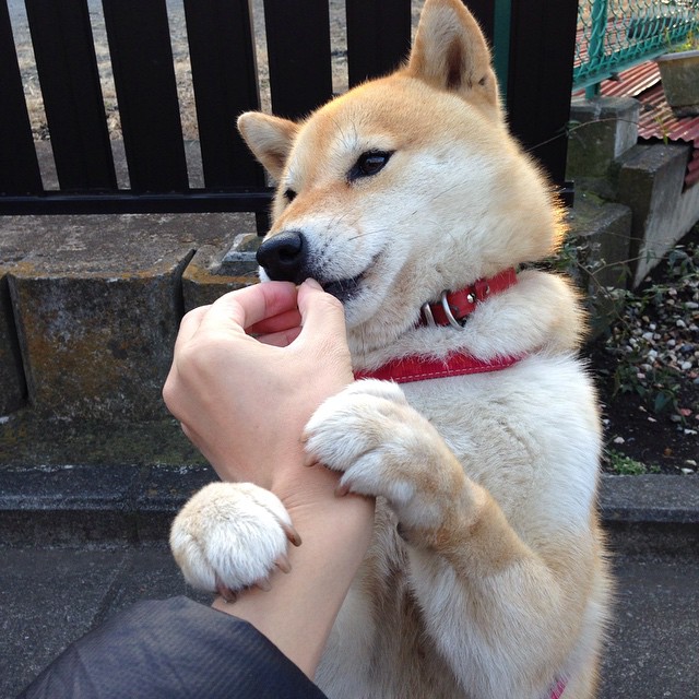 《电竞世界的新变革:5G技术带来的深远影响》,电竞产业的发展利大于弊