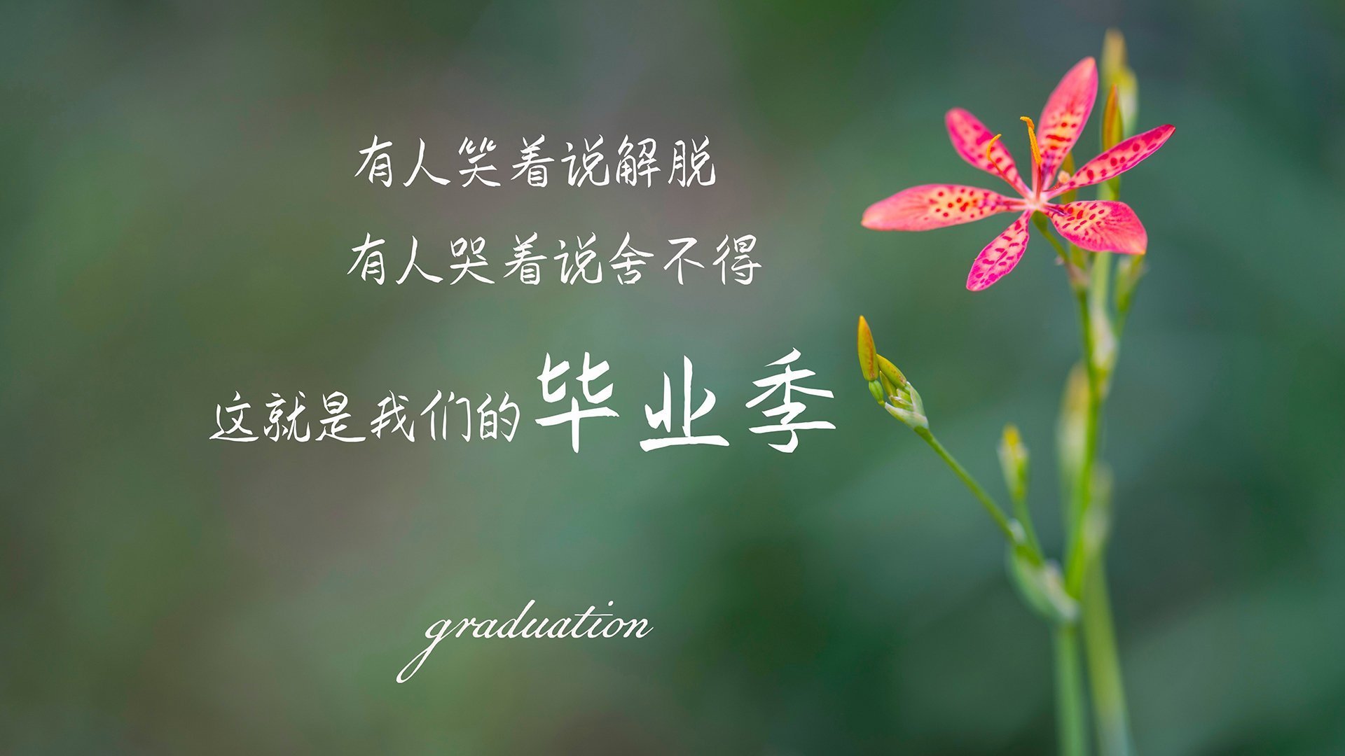 【得分时刻盘点】五大经典一分绝杀瞬间，1分绝杀